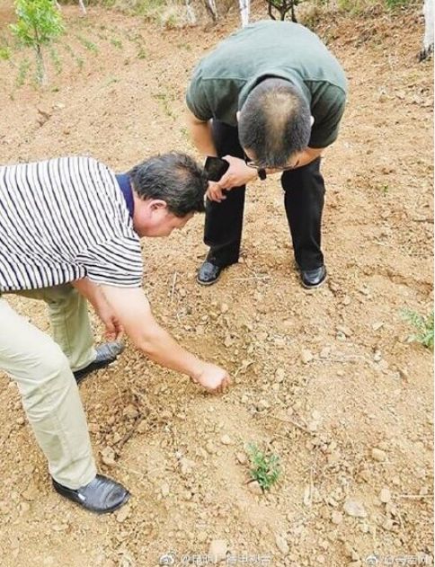 东川农业人口_东川红土地图片