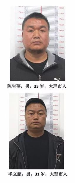 大理警方发布关于公开征集契建军,李勇等人为首的犯罪