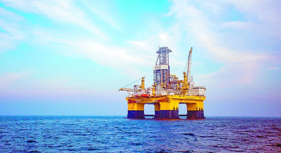 蓝鲸有哪些型号 316c1daaec3145bebdec2b2a01afcd94.jpg