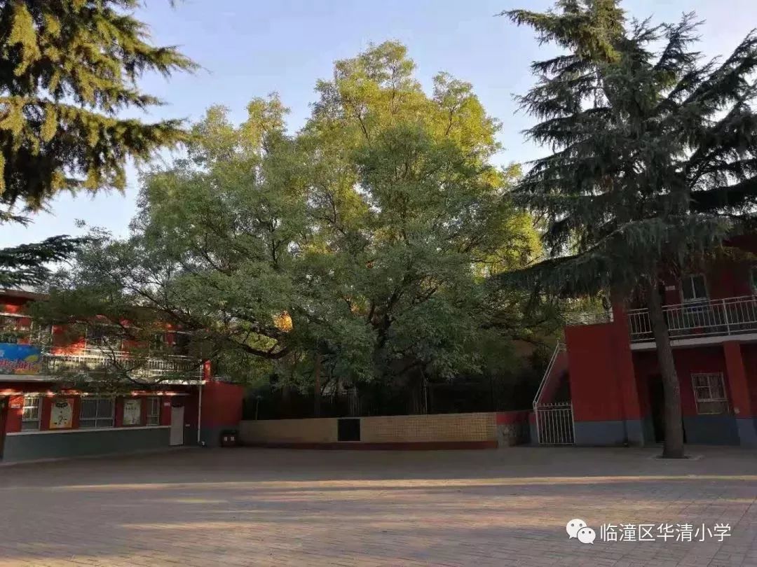 26日上午8:30—11:30 下午2:30—5:30 登记地点 临潼区华清小学(书院