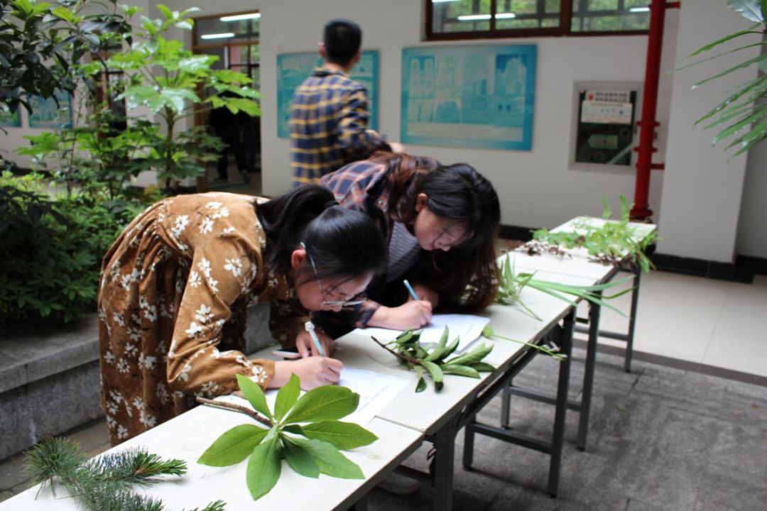 【艺术节暨读书节】建筑工程学院开展植物识别竞赛