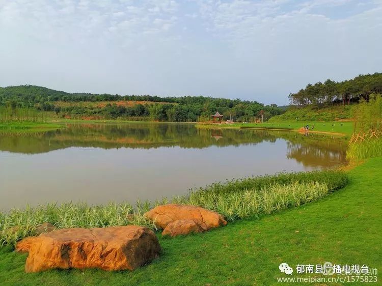 盛夏时节,依然春色无边的西宁湖_郁南县