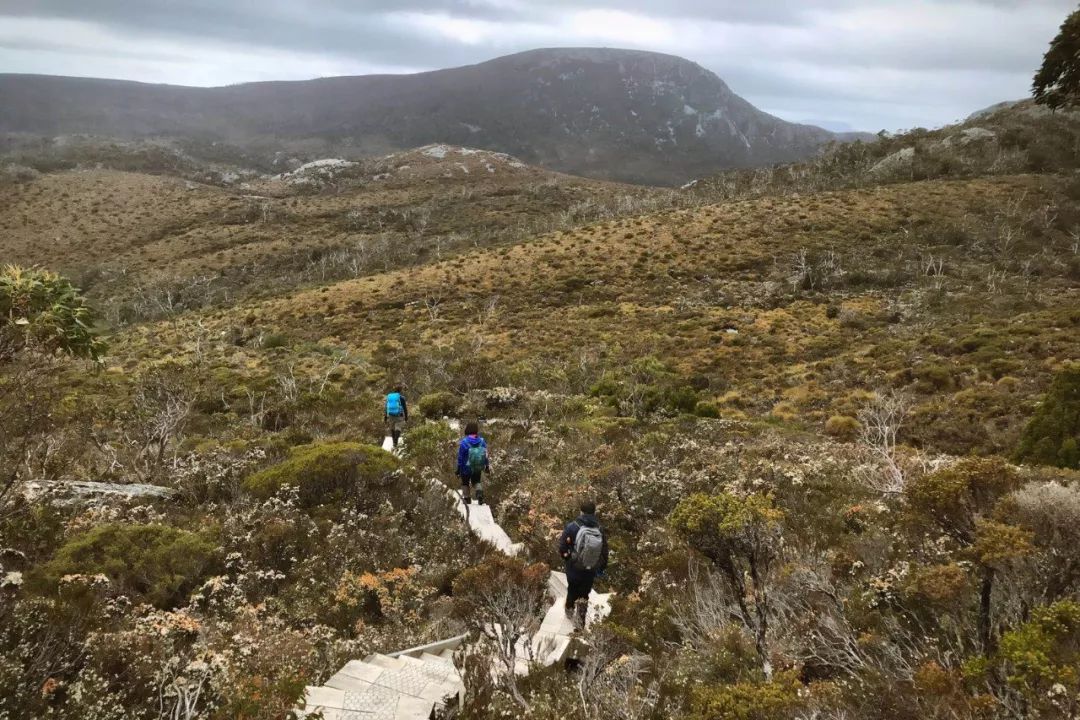 土澳cradlemountain摇篮山的另一种打开方式