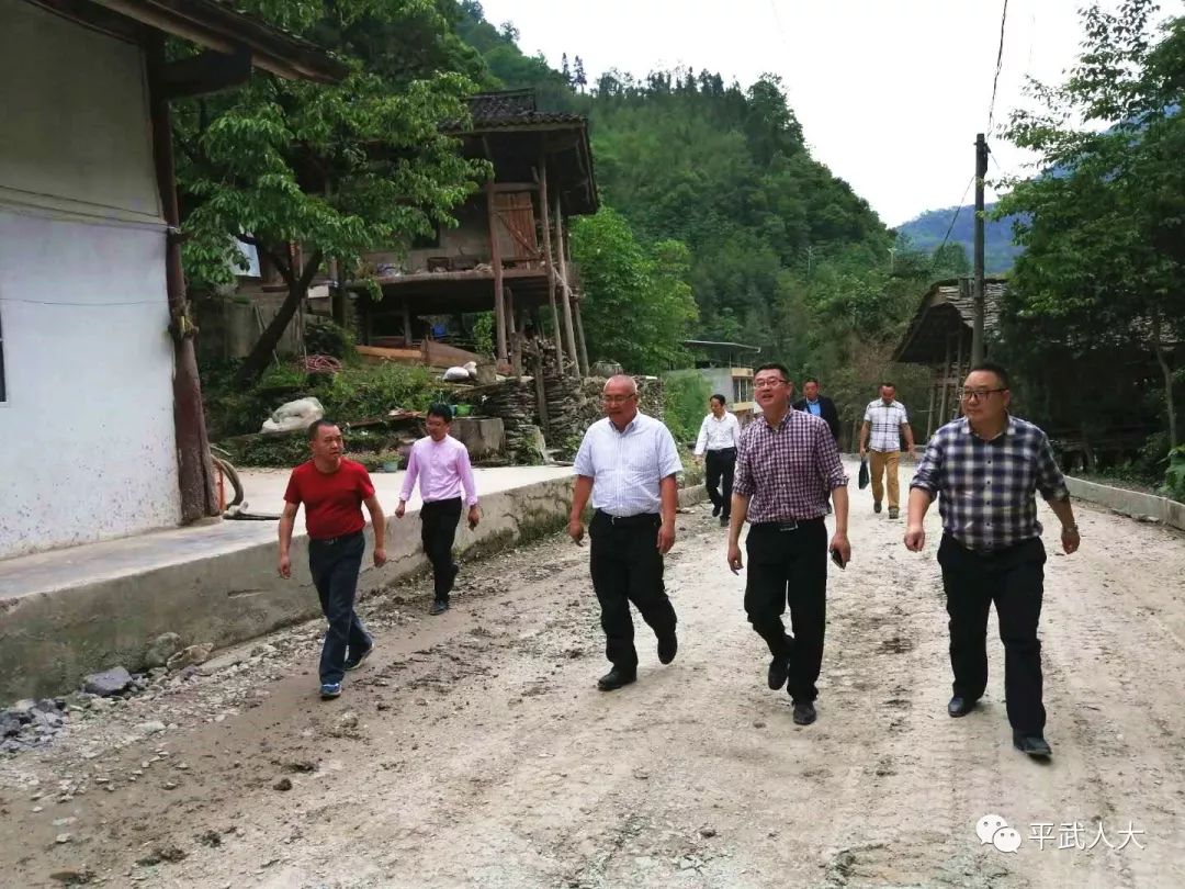 何充率队到平南羌族乡调研九绵高速lj24标建设推进情况和农旅小镇建设
