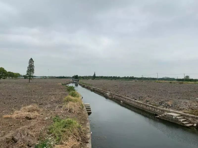 青浦人口最多的镇_上海青浦小蒸镇