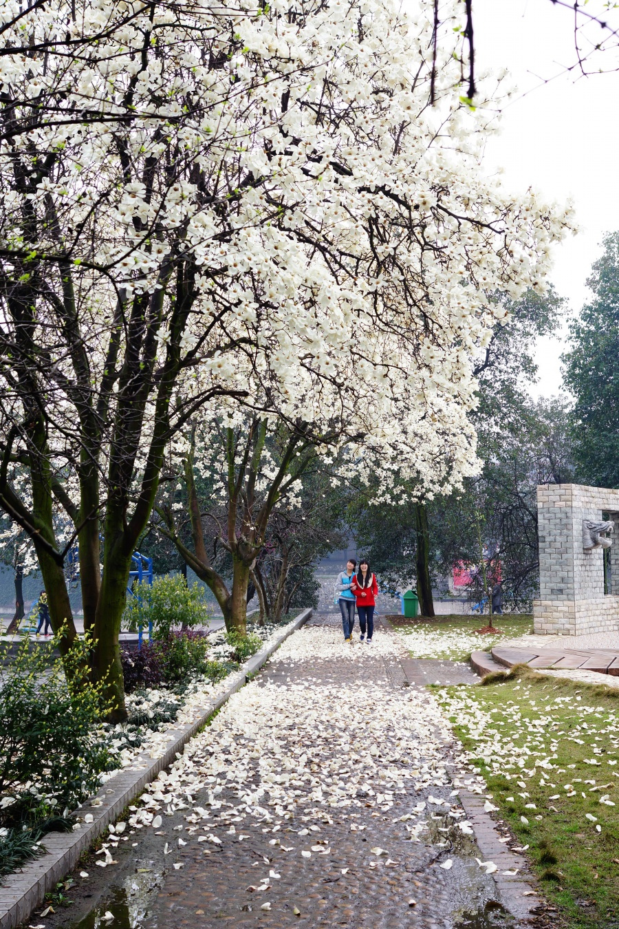 湖南省耒阳师范学校2019招生简章