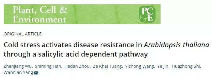 我院杨万年教授课题组揭示水杨酸参与短期冷胁迫激活拟南芥抗病性的机制 | 科研动态