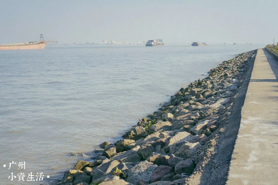 早上早餐后,出发前往 狮子洋【海鸥岛】海岛风情 海鸥岛,位于广州番禺