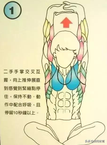 7b7ee9aac71040e9a0fda1ee703df203.jpeg
