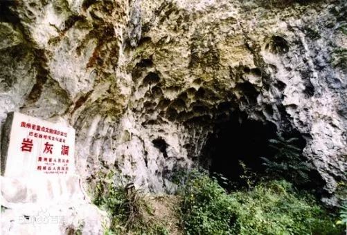 这个洞,孕育了20万年前的桐梓人,引起世界关注~ 澳门新濠天地平台