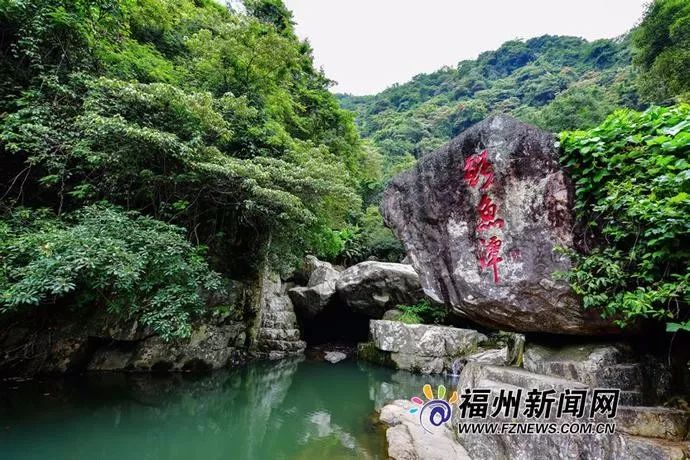 天泽奥莱时代 三叠井国家森林公园:5月19日门票5.19折优惠.