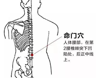 养生温敷四穴强身健体