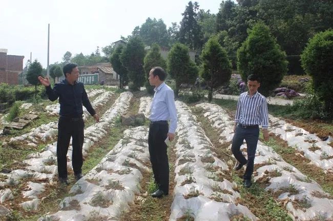 副县长宋邦达到乐治镇调研脱贫攻坚及产业结构调整工作