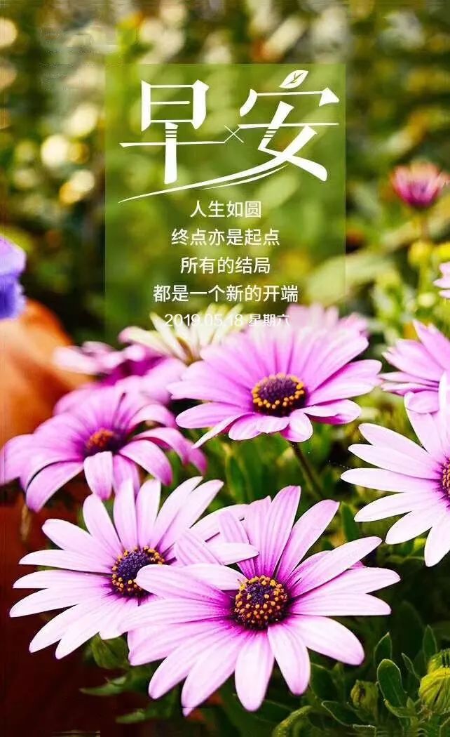 簲˵˵ °ϺͼƬ2019
