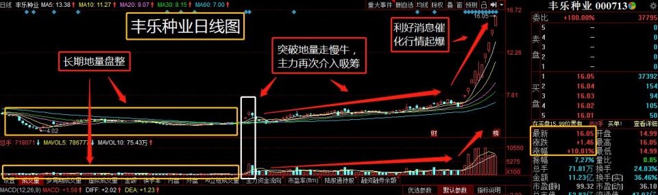 2020中国股市牛散最_中国股市突然又少了5家!可怜牛散5家踩4雷!50万股民