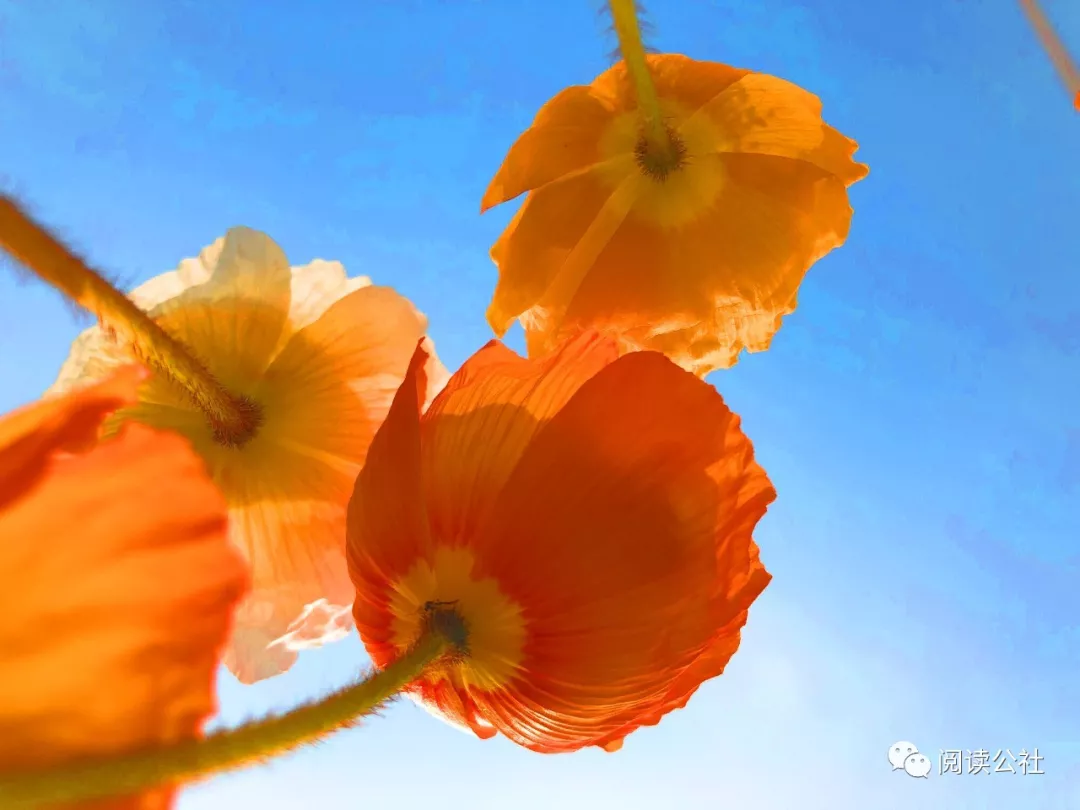 一生8个字！一字悟一生！