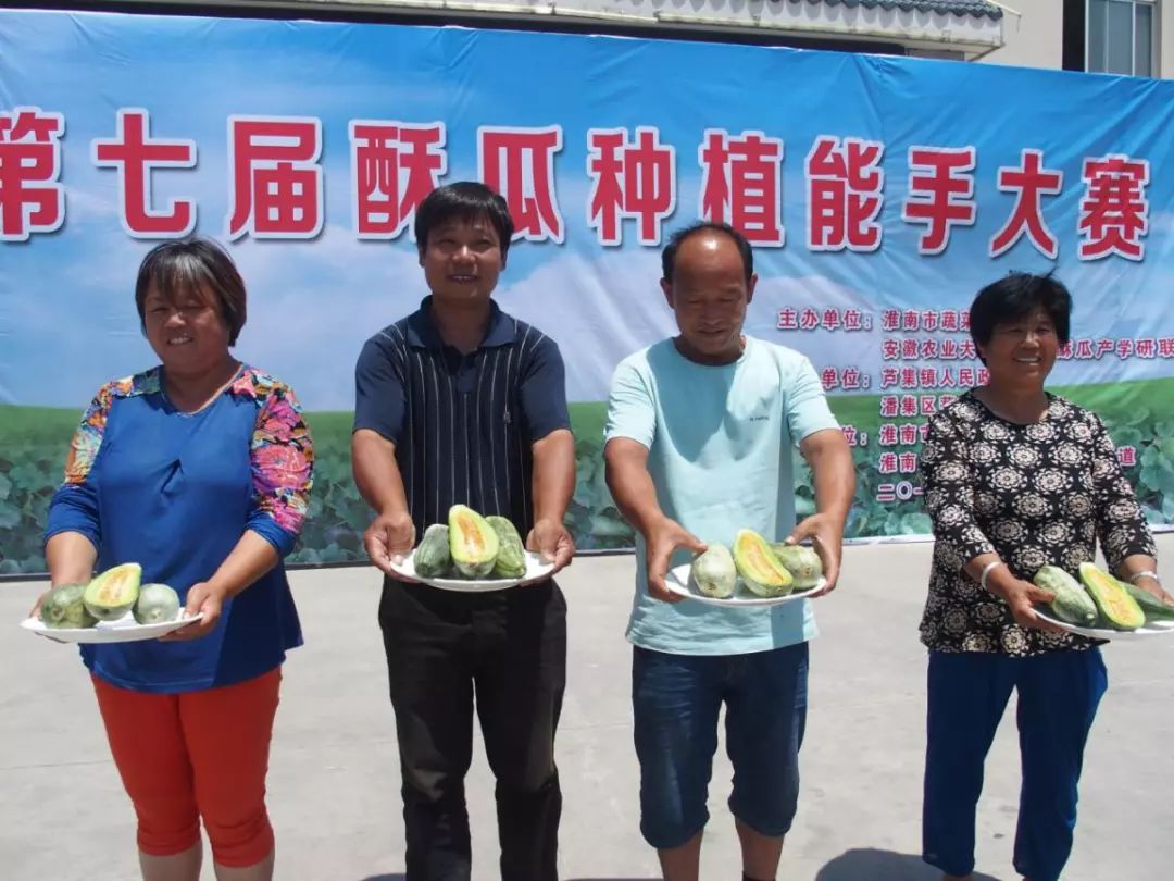 淮南市第二届潘集酥瓜节 即将拉开大幕 听到这个消息 小编也和大家一