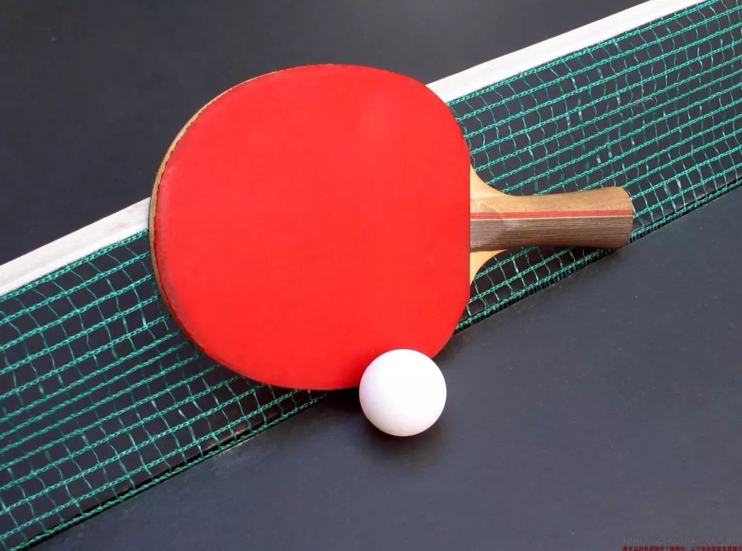 明日开赛,静安区第二届社区运动会社区乒乓球比赛曹家渡分站赛