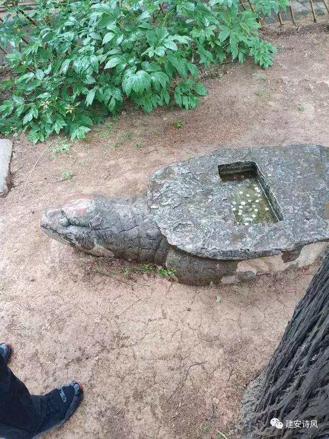 郏县茨芭乡有多少人口_郏县茨芭杨占聚照片