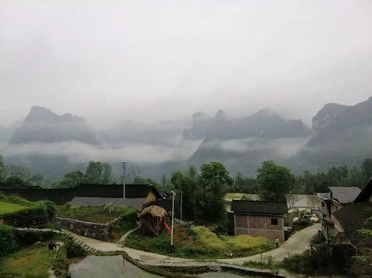 眼下,花垣县补抽乡桃子村100亩黄桃产业示范基地已经挂果,丰收在即.