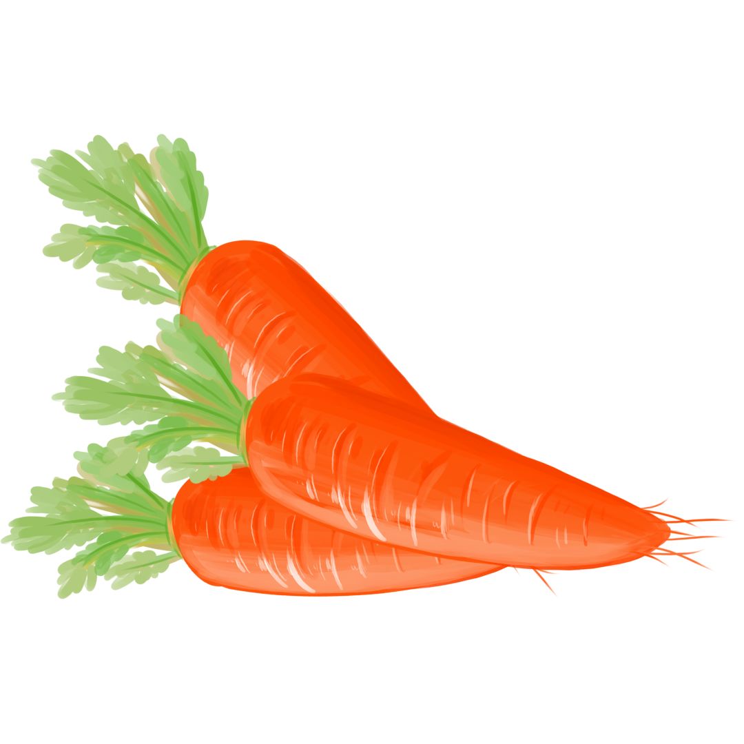 每天要吃一斤蔬菜半斤水果,到底是多少量?