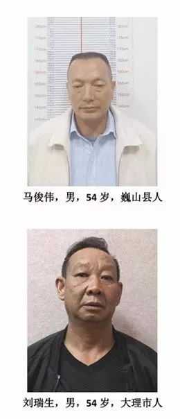 大理市公安局公开征集契建军,李勇等人为首的犯罪团伙