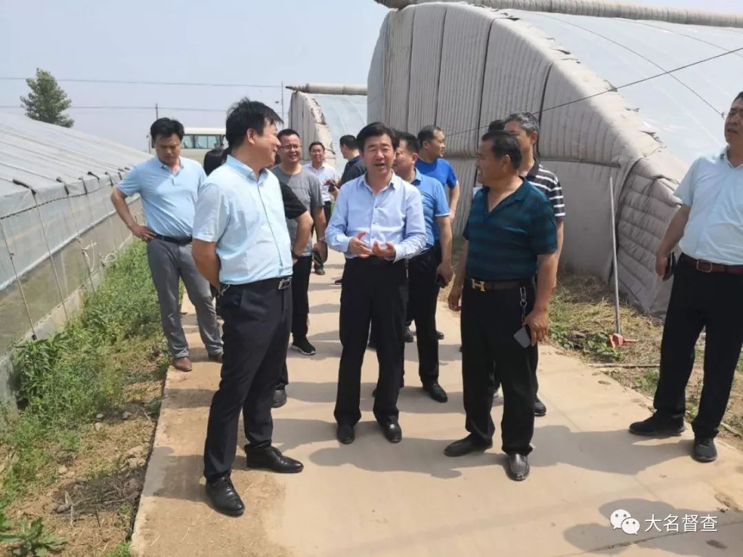 在铺上镇东李二庄村甜瓜种植大棚,房延生详细了解了大棚种植的品种
