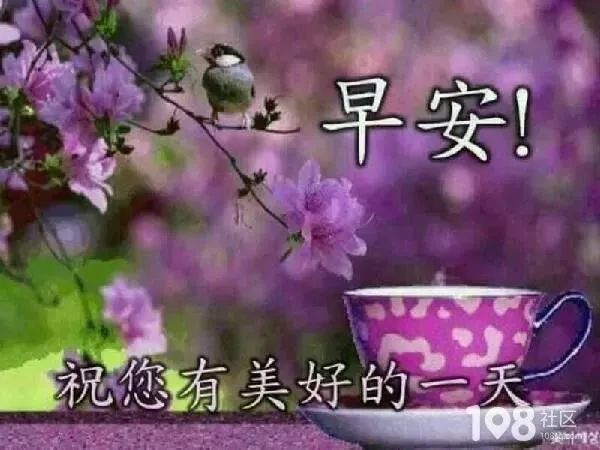 2019早上好祝福短信动态图片 早安问候语暖心句子