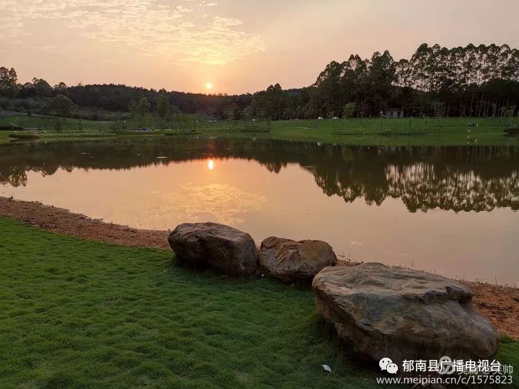 盛夏时节,依然春色无边的西宁湖_郁南县