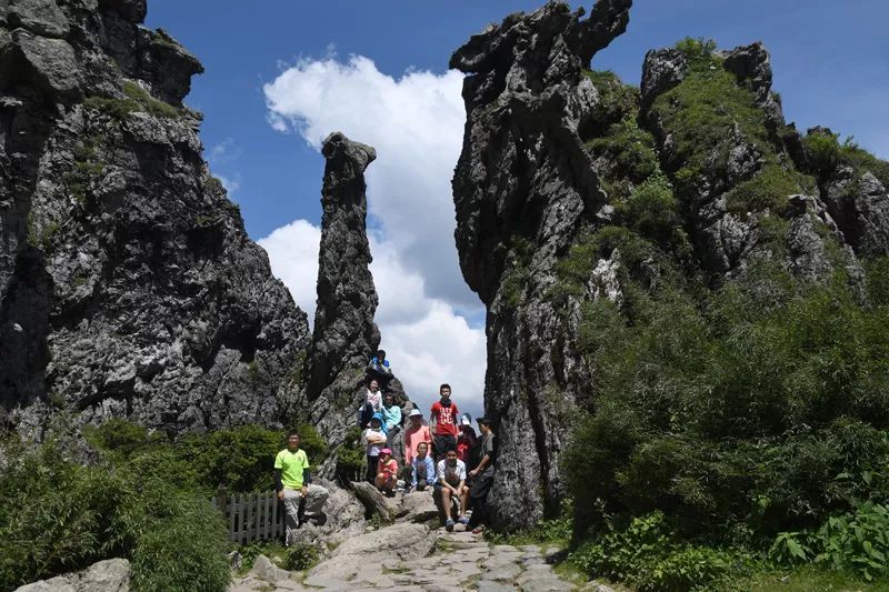 是中国中部最大的高山平原,被誉为"小呼伦贝尔"的高山草原,是神农架