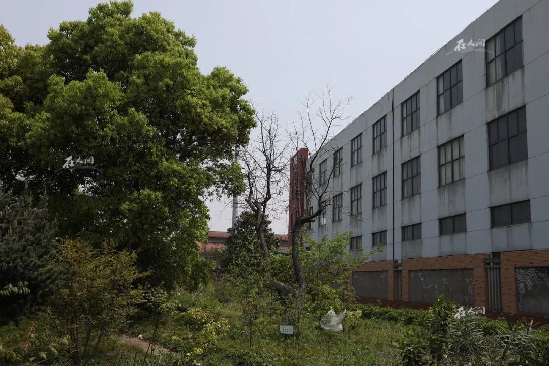 曾经,王银达在园区大门左边还建成了达能公园,工人下班后可在此休闲娱乐。如今,这里无人打理,早已荒芜