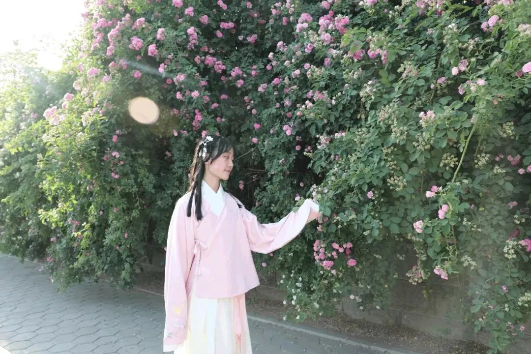 此生无悔入华夏,来世还生种花家