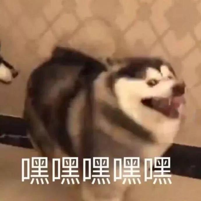 表情包大赛正式开始!刚看第一个我就笑喷了哈哈哈哈