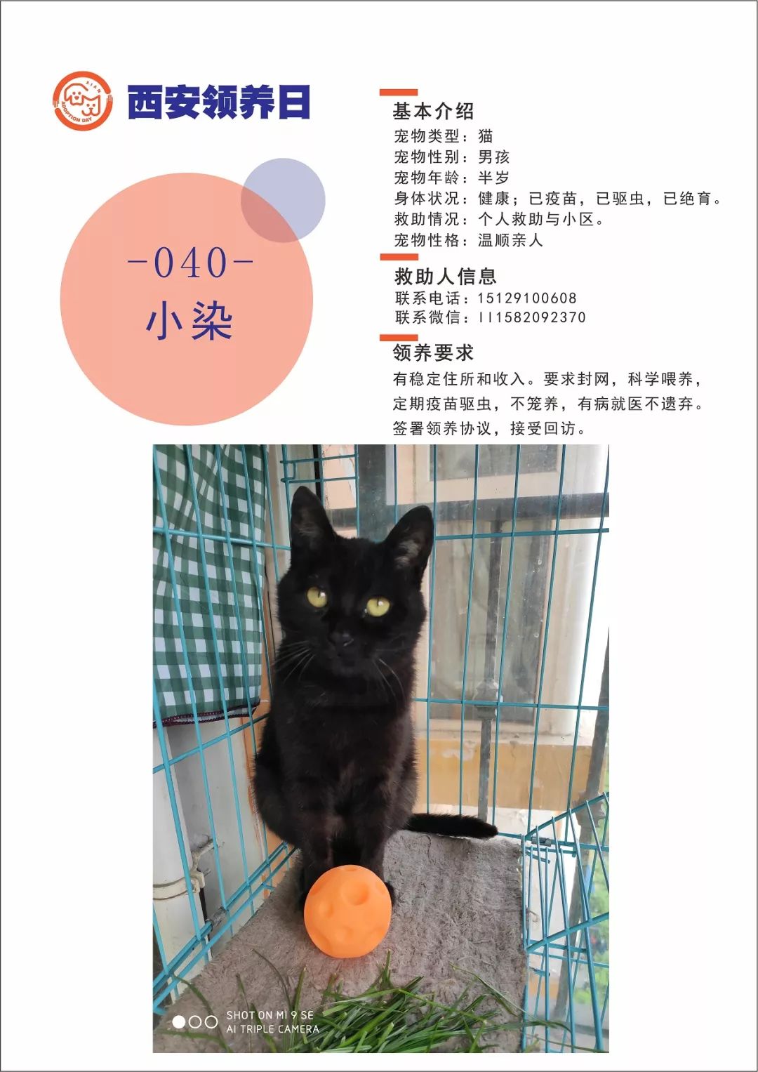 狗和猫的搞笑事件 d6d2712e9fc54da3a30d71c74680ce93.jpeg
