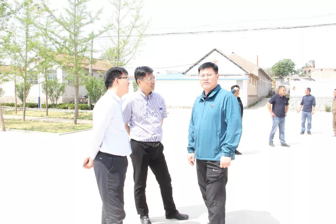 牟平区观水镇党政观摩团到臧家庄镇北洛汤考察村党支部领办合作社工作