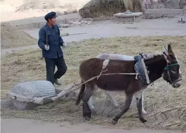 新县人口_新县人注意了 请以下人员速回老家,因为马上就要