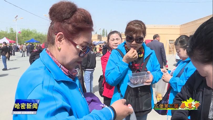 哈密市五堡镇第三届桑葚节开启夏日甜蜜之旅