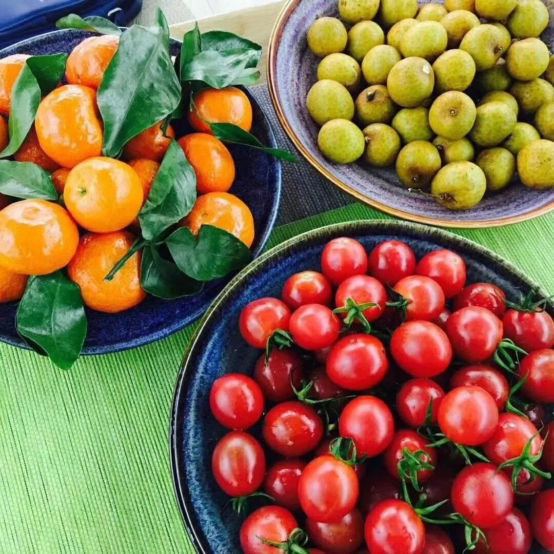 蜂蜜不能放冰箱?豆浆和鸡蛋一起吃有害?真相