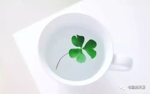 最是素简,情韵长 888真人娱乐网址大全