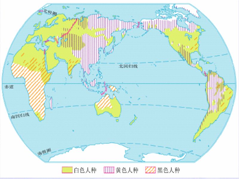 人口人种的分布手绘囵_世界人口三大人种分布(3)