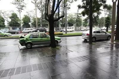 升温啦~周末气温有望突破30℃~ 日本老头和女扰爱爱视