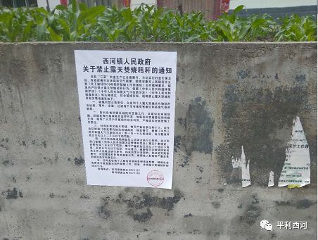 梅河招聘信息_龙雨种业招聘业务员 梅河口生活网 梅河口信息网(3)