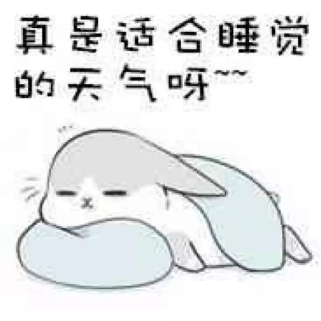 fc51ce49e8c94c258191e41732ea67e7.jpeg