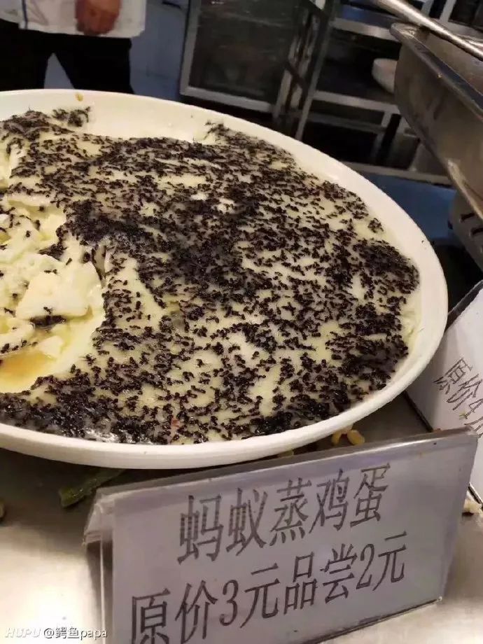 【惊呆】蚂蚁蒸鸡蛋,高校食堂又推出“黑暗料理”,广东网友迅速围观 吉祥坊官方网站