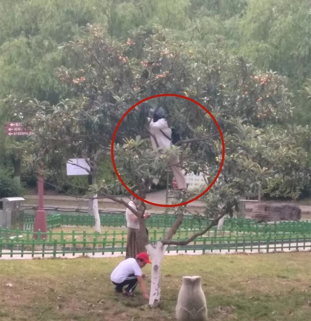 阜阳青颍公园这几个人…丑爆了!