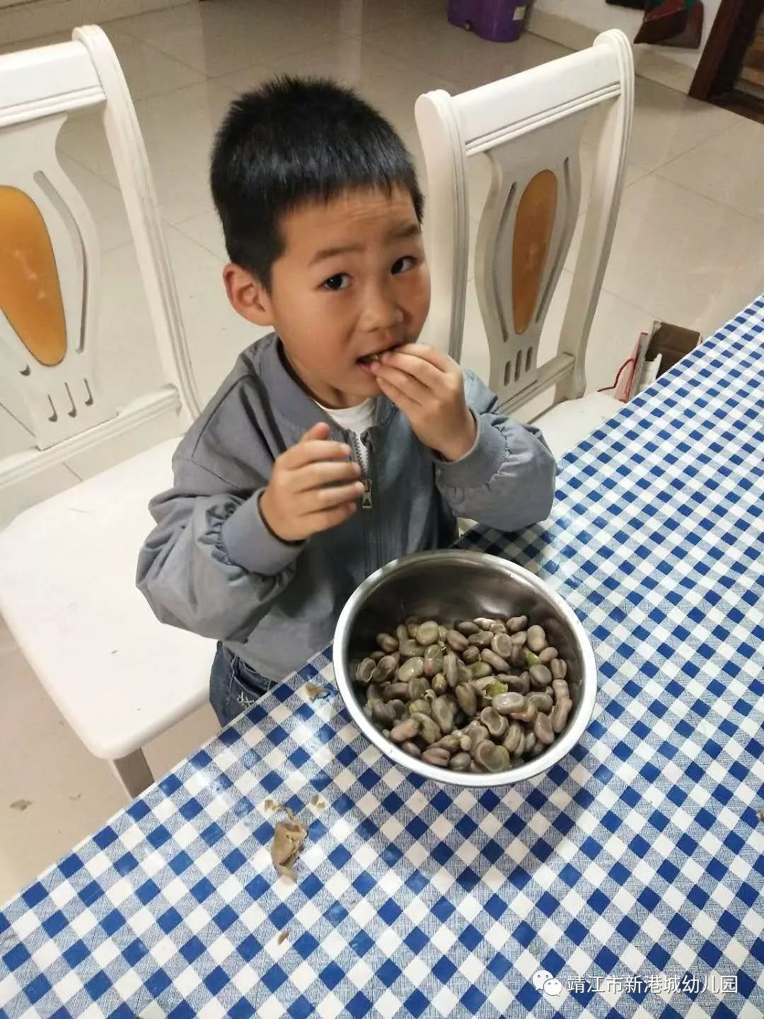新港城幼儿园学习故事蚕豆丰收了