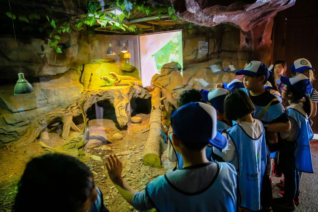 研学旅行解开动物们的神秘面纱