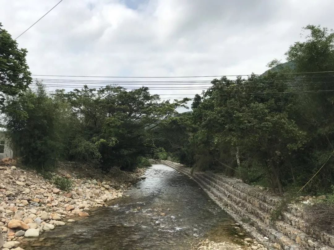 惠东这条村,有"宝!