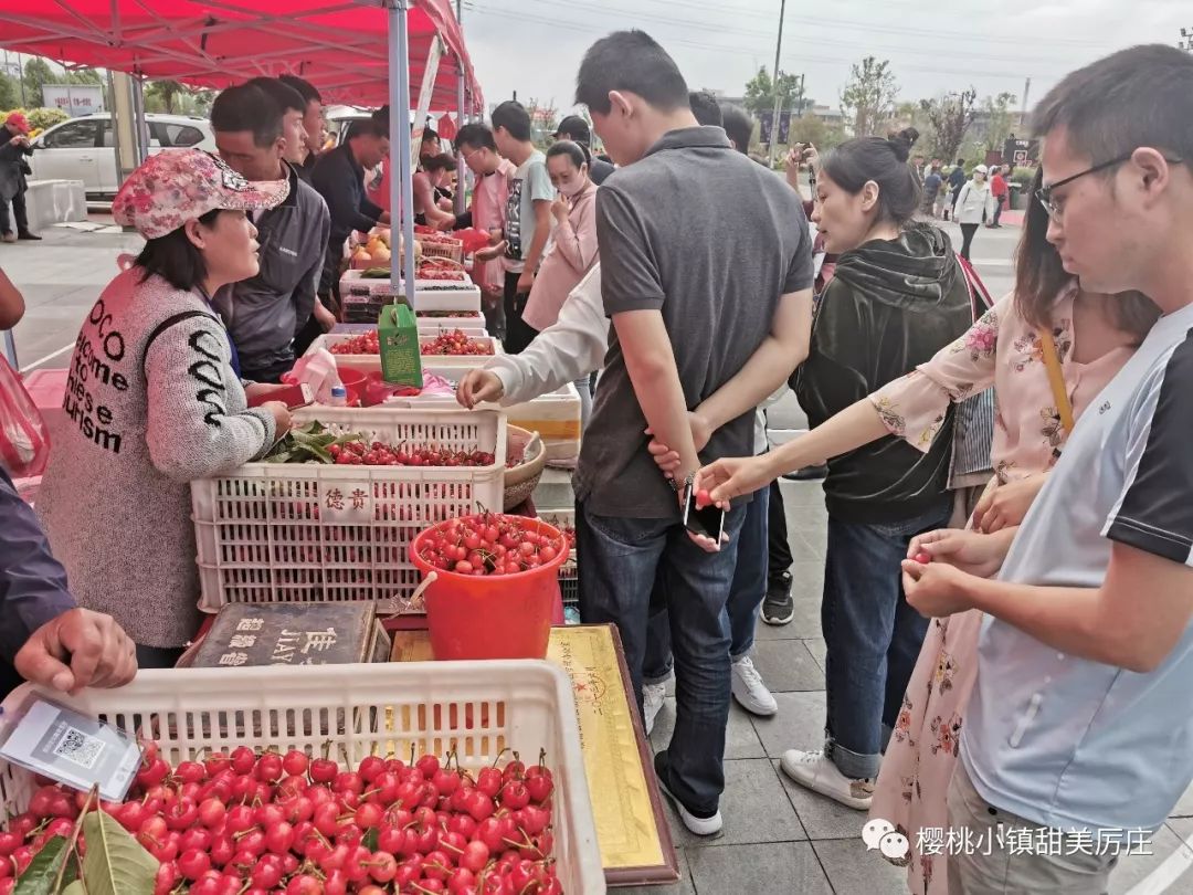 第十一届连云港·赣榆樱桃节万达广场品鉴会 新品上市 惠风和畅的