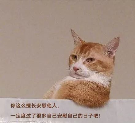 主妇穿这衣服是为了防厨房油烟吗? pt电子游戏破解